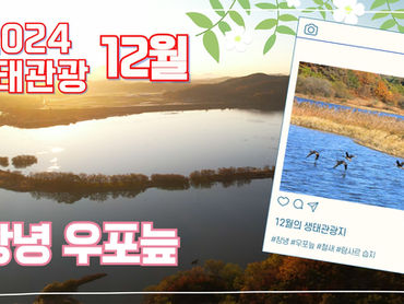 국내 최대 규모의 내륙습지🌱ㅣ이달의 생태관광지 - 창녕 #우포늪