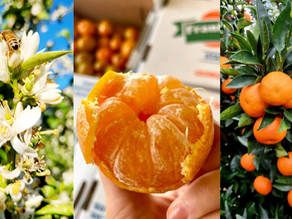 It's almost that time of year again!