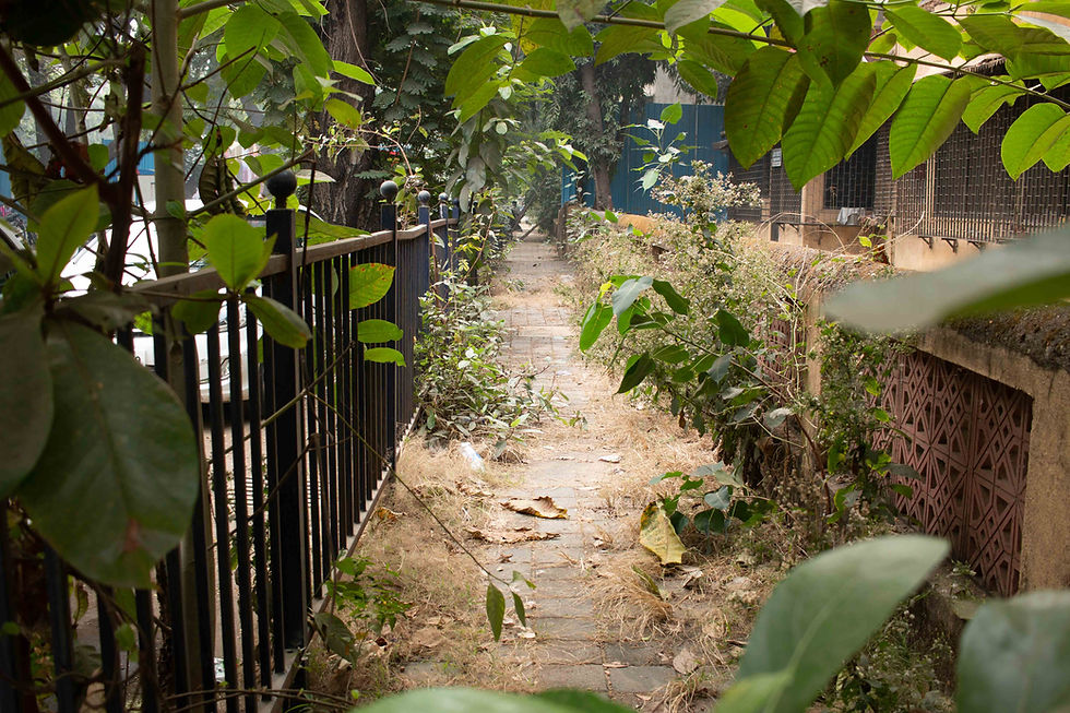 The path less travelled