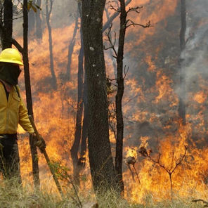 Los incendios forestales en Chihuahua