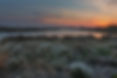moor-3792995_1280.jpg