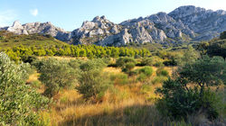 Découverte DOMAINE des ALPILLES