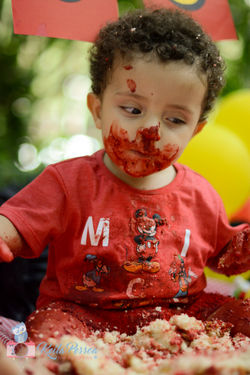 Smash The Cake Miguel  (31)
