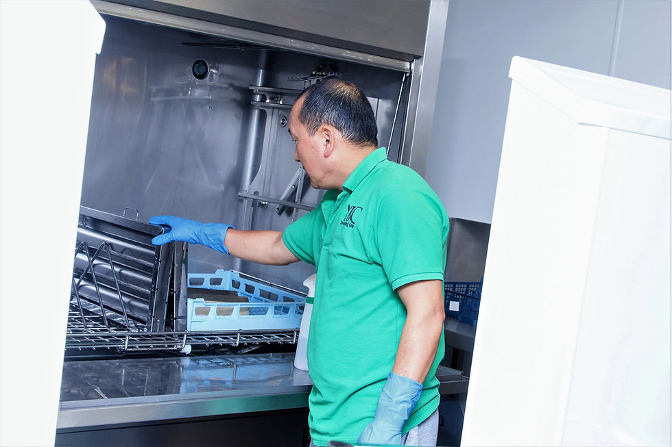 Labour Provision and specialist cleans