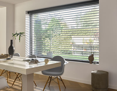 Silhouette Shades in home office environment