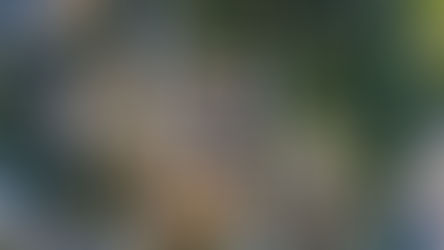 La CSRD : 'La Corporate Sustainability  Reporting Directive'