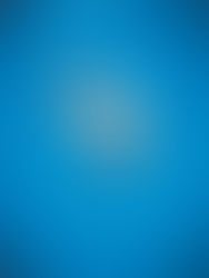 Voli o vertigini? - Teresa Rappa