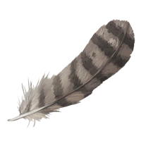 Grey-feather-lrg.webp