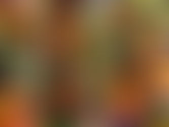 5 idées d’assiettes fraîches avec VEGGIES BOX