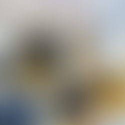 How to Achieve a Timeless Look with Your Home Renovation in Southwest Florida