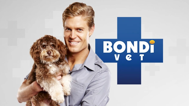 Bondi Vet