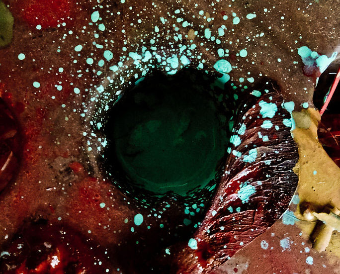 paintcups2.jpg