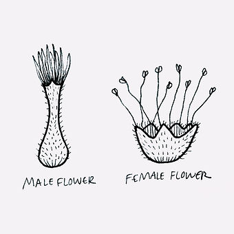 Photo Dec 22, 11 50 38 AM (1).jpg