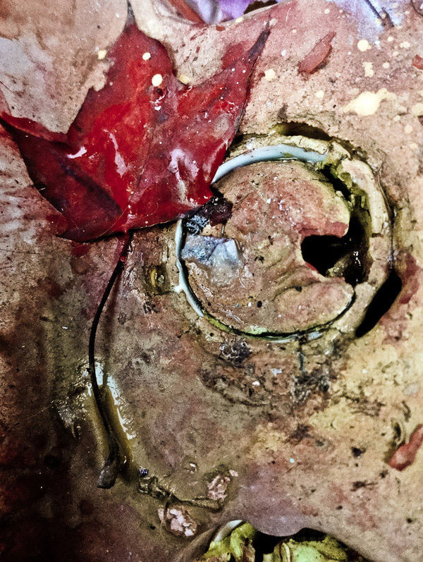 paintcups7.jpg