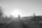 694A6977.jpg
