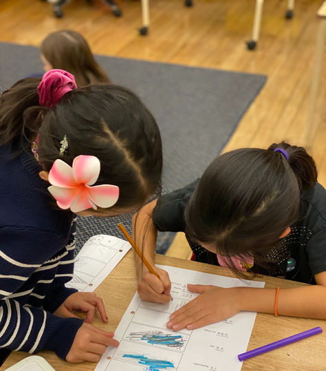 The Advantage of Peer-to-Peer Learning