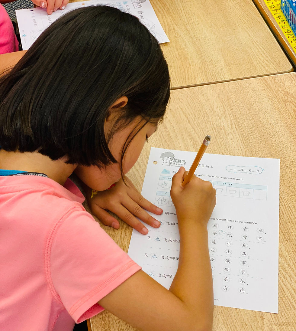 Student learning to write Chinese