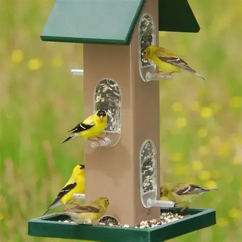 Tube Feeder With Seed Tray