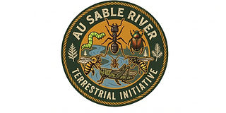 Terristrial initiative logo.png