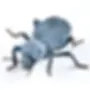 Blue Feigning Death Beetle