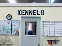 Kennel Dorm