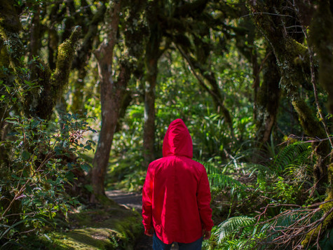 Walking Trails