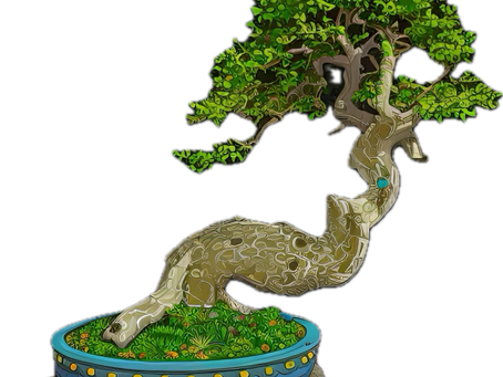 Die Geschichte des Bonsai.