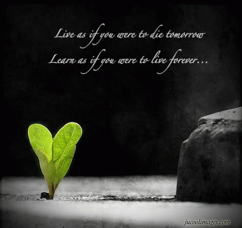 Live like you were dying