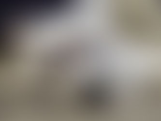 Paws Post March 2025