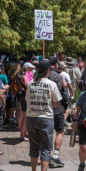 A person in a shirt that says “Meow, meow, meow, meow, meow,” holds a sign that says “J.D. Vance ate my cat."