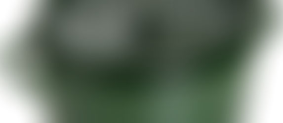 The Cast Iron Buying Guide: Rediscovering Old-World Quality