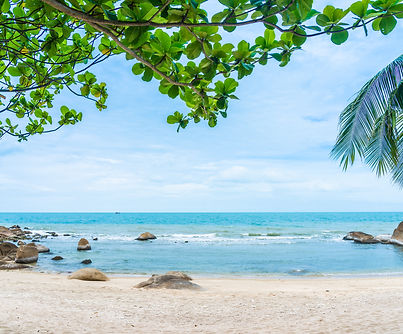 beautiful-outdoor-tropical-beach-sea-around-samui-island-with-coconut-palm-tree-other (1).