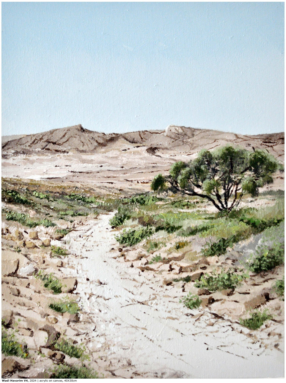 WadiHavarimV4-2024-40X30cm-Ts