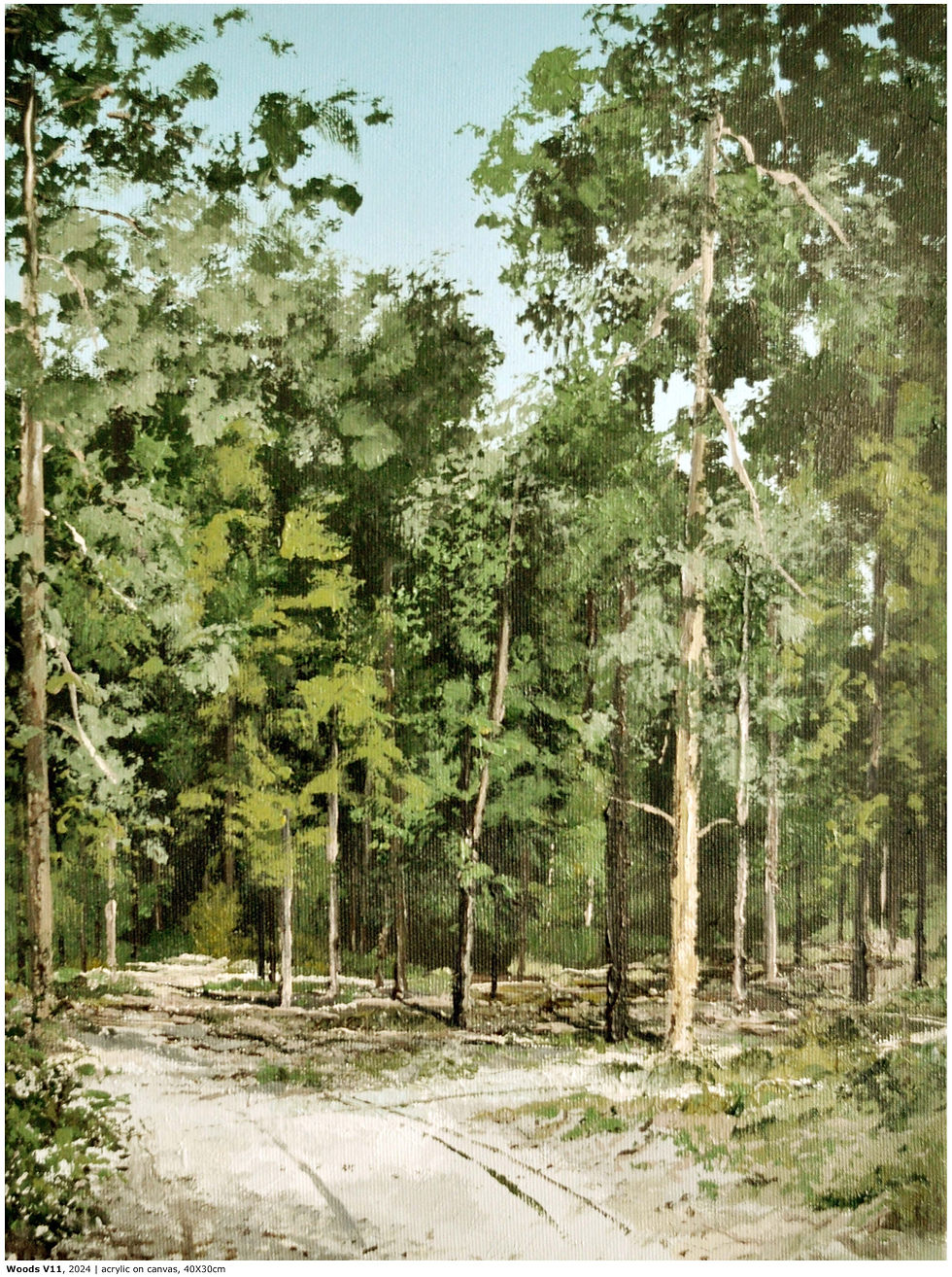 WoodsV11-2024-40X30cm-Ts