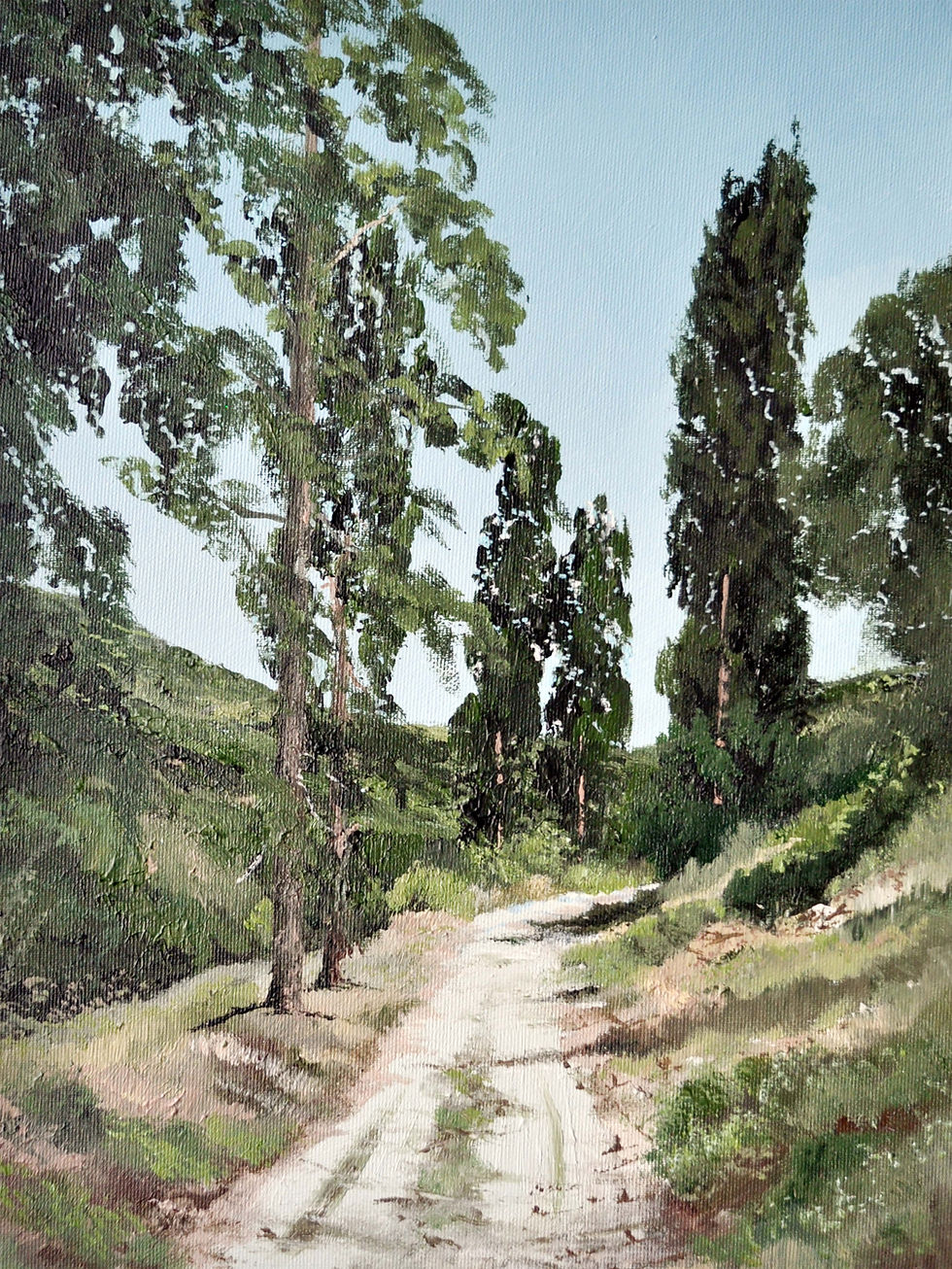 RamotMenasheV3-2025-40X30cm-s