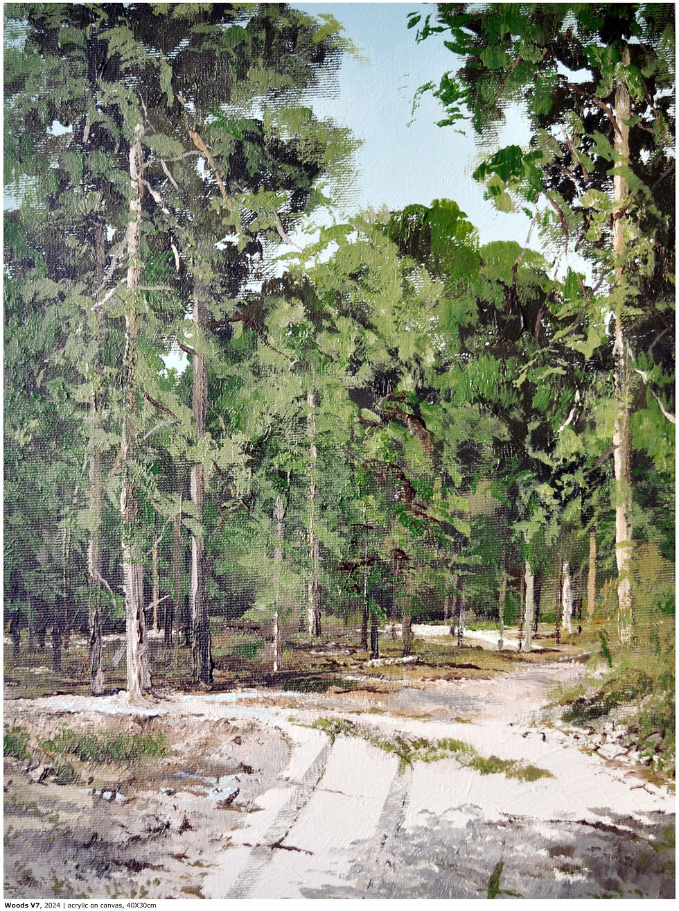 WoodsV7-2024-40X30cm-Ts