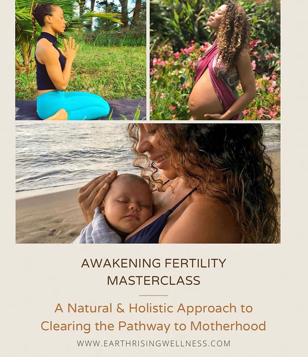 Awakening Fertility MC Flyer (1).jpg