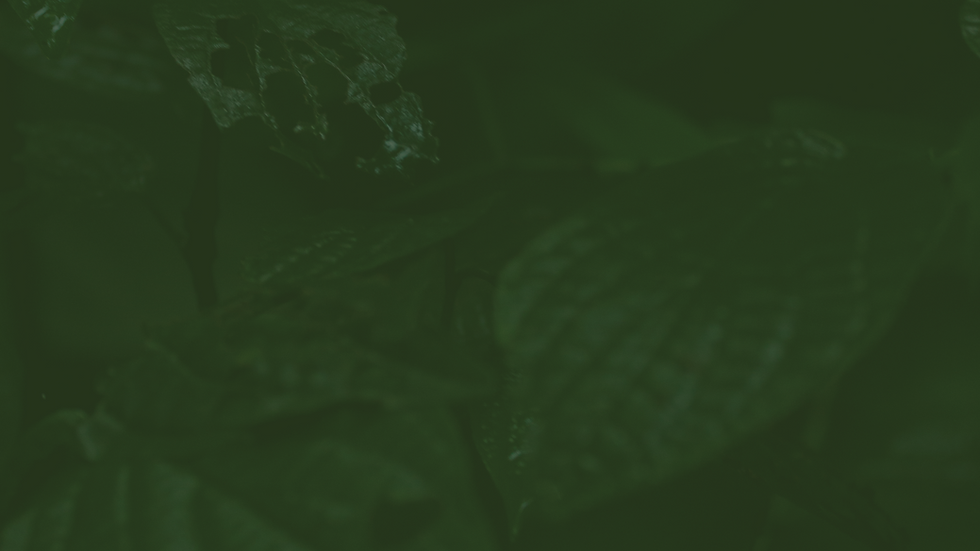 Grade impressão (6).png