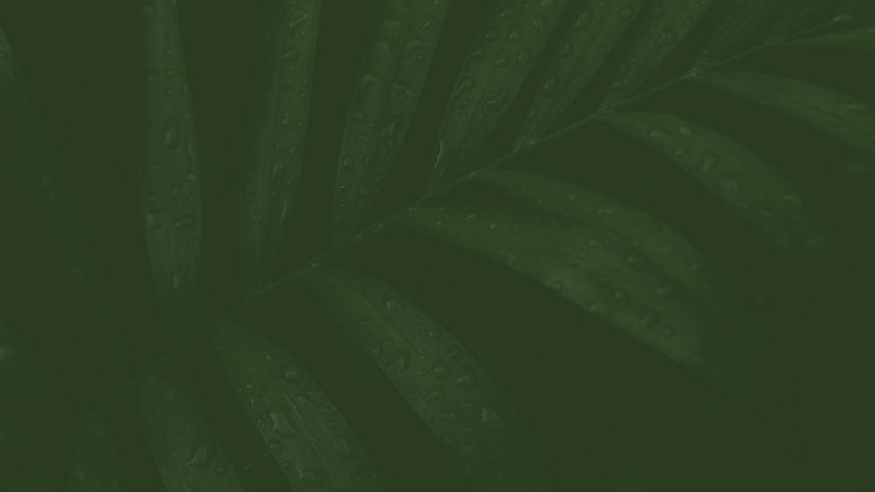 Grade impressão (3).png