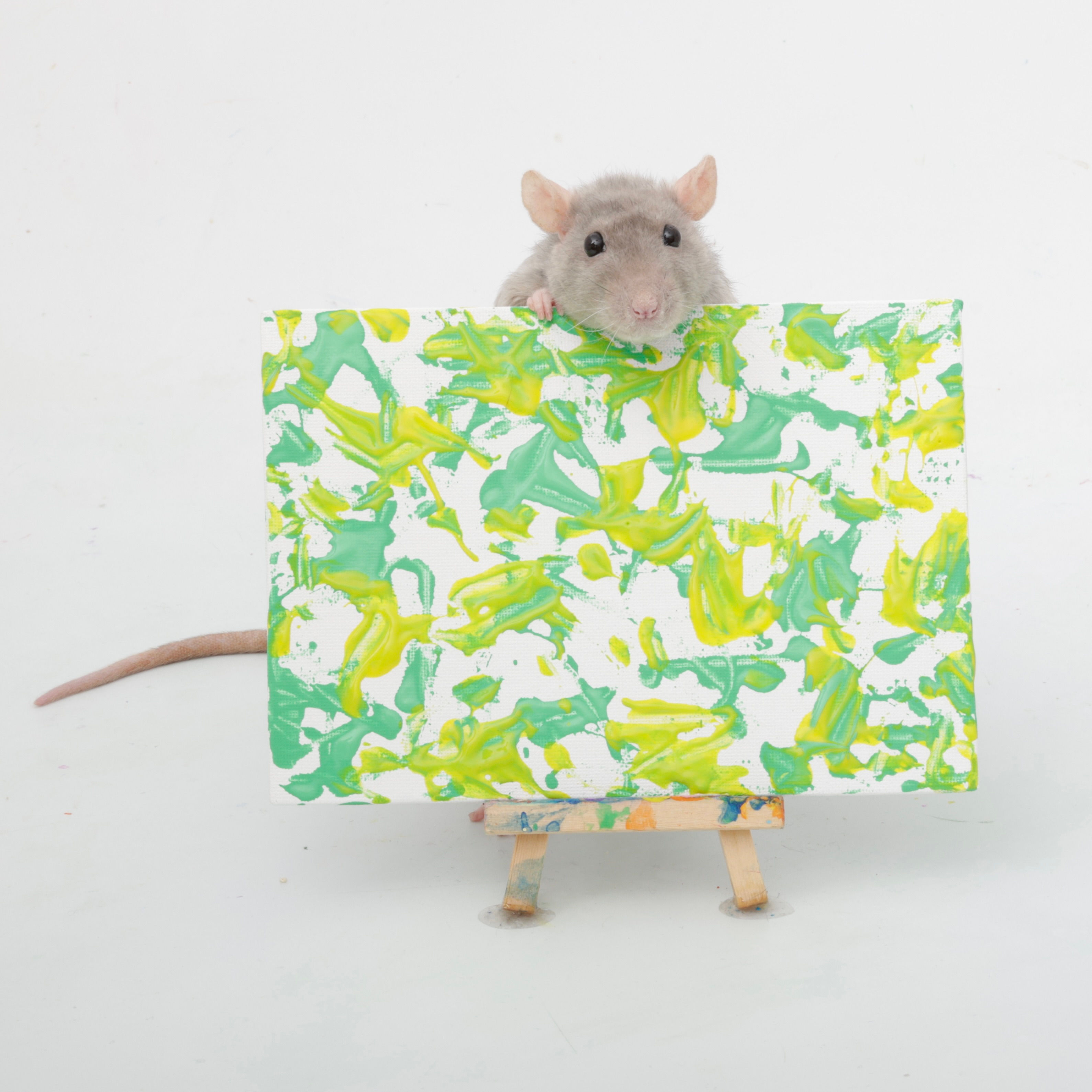 5"x7" Rat Paw Painting