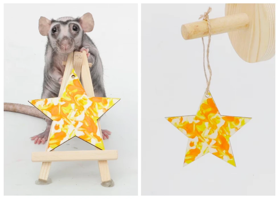 Thumbnail: Rat Paw Painting Ornaments