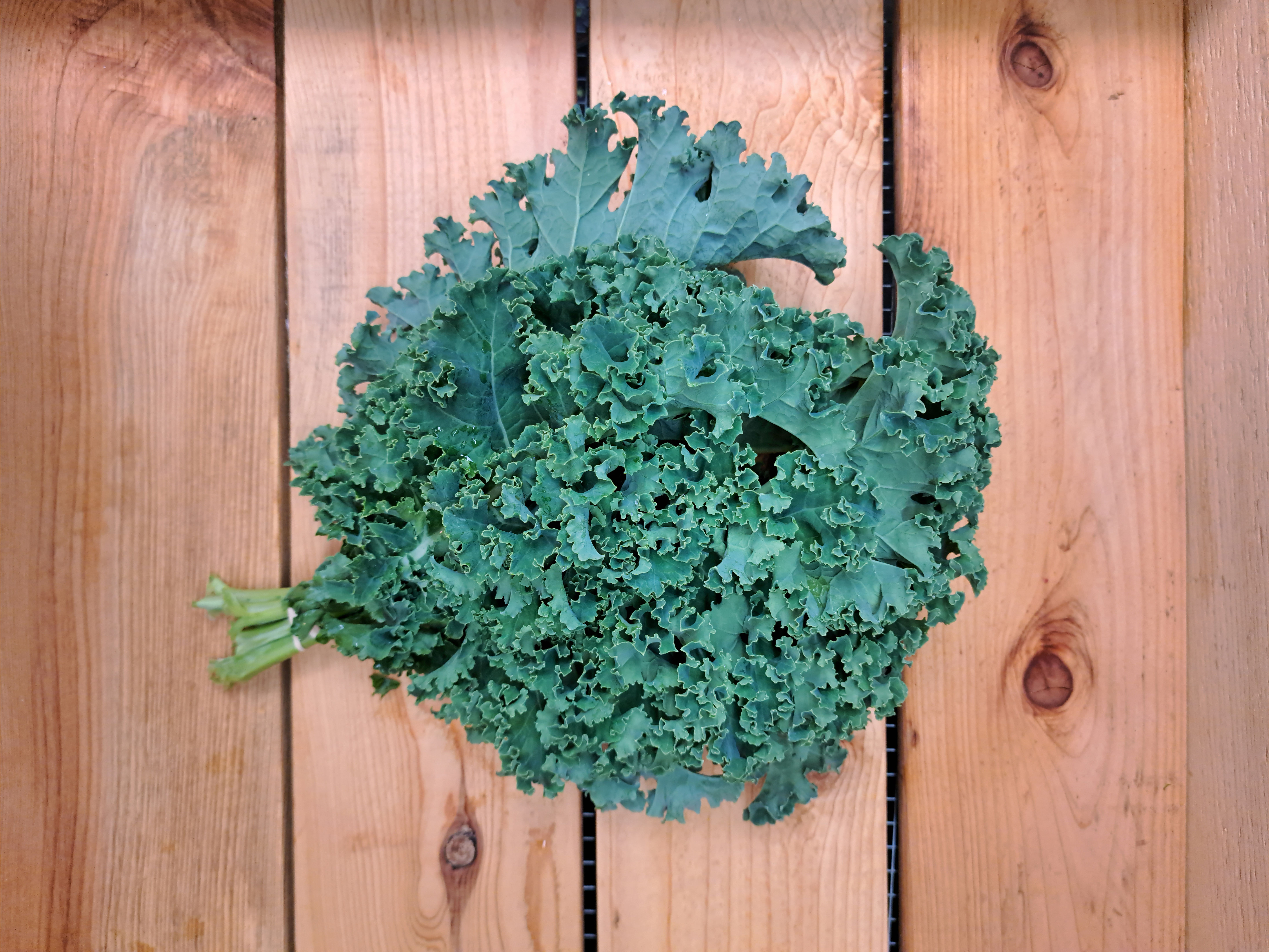 Kale