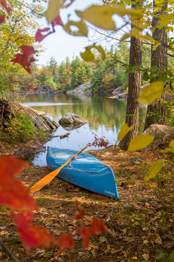 Fall Canoe Colours 2