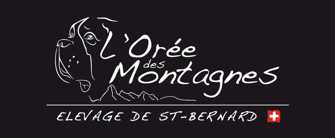 Nouveau site pour l'Orée des Montagnes