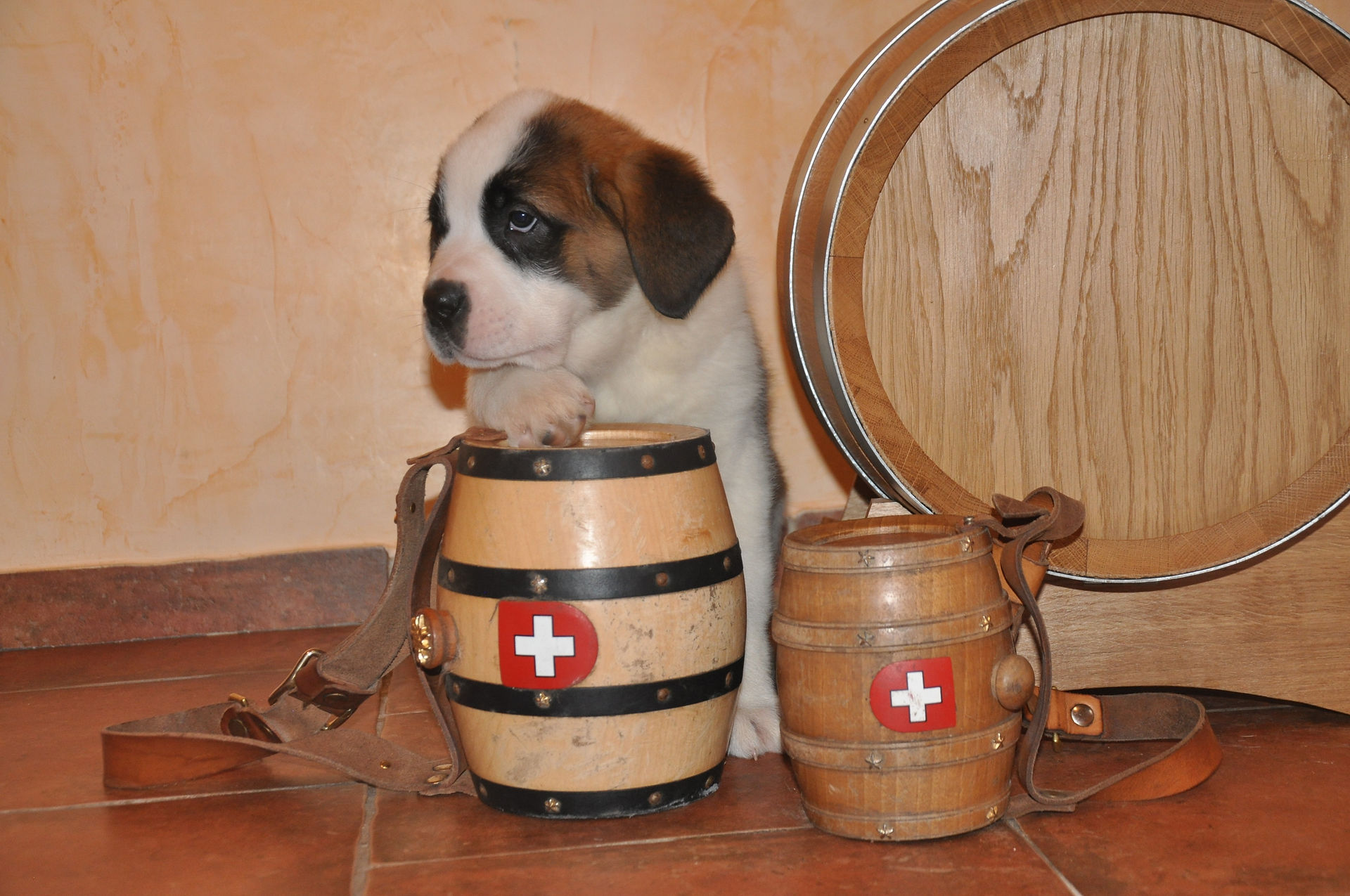 Birgit St-Bernard