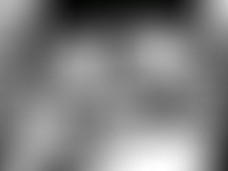 Metamorphosis and Bioethics