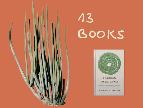 Books That Connect Us with Nature and the Soul | Inspiration  