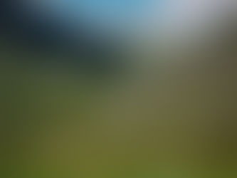 Person wandert über grüne Berghänge in den Alpen, Sommerwanderung mit perfekter Packliste, Tipps für Sicherheit und Naturgenuss in den Bergen.
