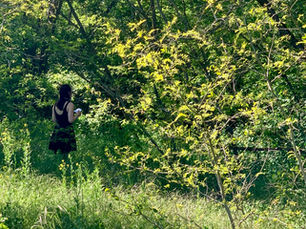 Die Einfachheit von Meditation | am besten draußen