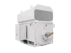 Medium Voltage Motors